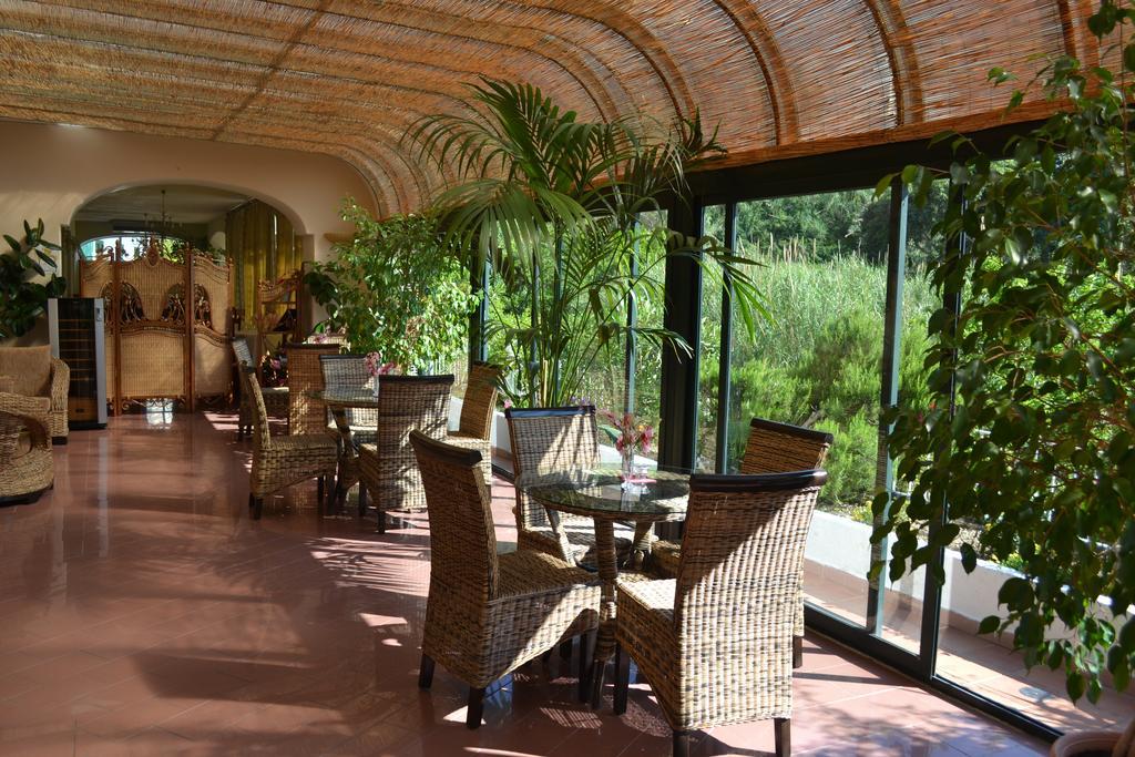 Hotel Maremonti Forio di Ischia エクステリア 写真